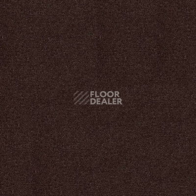 Ковролин Radici Abetone Espresso 4971 фото 1 | FLOORDEALER
